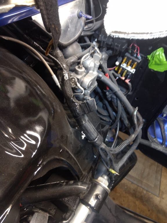 Customer review image