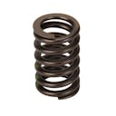 Valve Springs