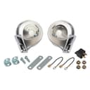 Accessory Horns