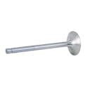 Intake Valves