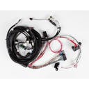 Engine Wiring Harnesses
