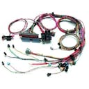 Wiring Harness and Components