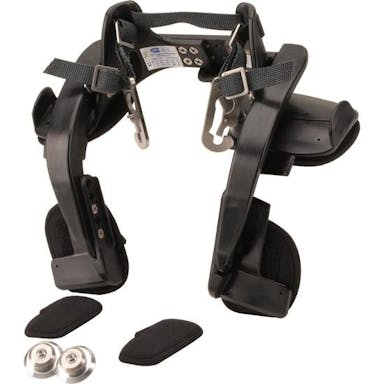 Head and Neck Restraint System