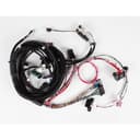 Engine Wiring Harnesses