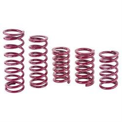 Eibach Rear Racing Springs, 5 x 13 Inch