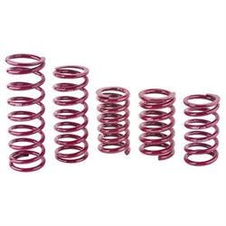 Eibach Rear Racing Springs, 5 x 13 Inch