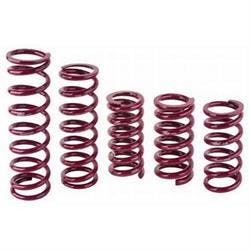 Eibach 15 Inch Rear Racing Springs