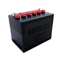 TurboStart BB-S24AF 12 Volt Light Weight Collectors AGM Battery