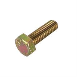 Bert Transmission 30 Hex Bolt, 5/16 Inch
