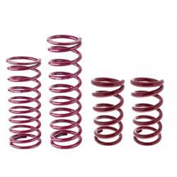 IMCA Modified Eibach Spring Kit