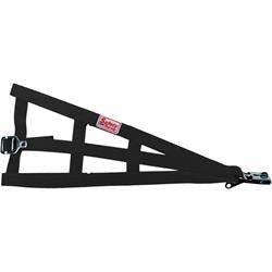 Speedway Sprint Car Cage Net