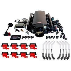 FiTech Ultimate LS EFI Kit, with MSD Coils/ACCEL Spark Plug Wires