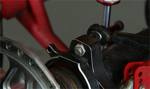 Tech Talk Birdcage Timing