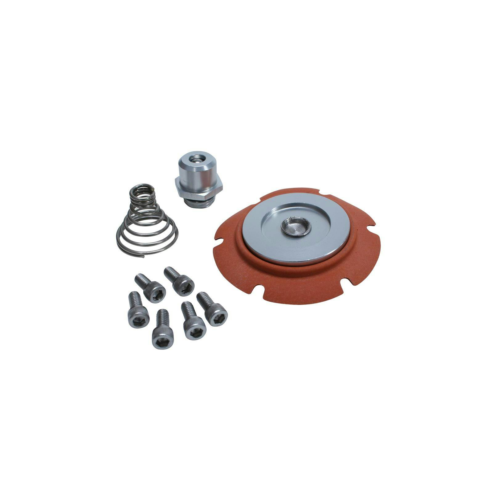 Aeromotive 13022 Low Pressure Regulator Repair Kit