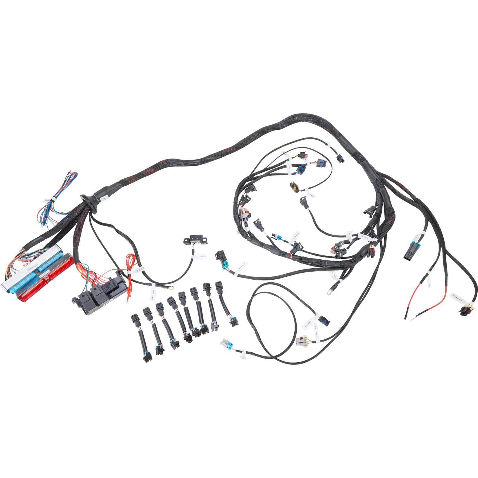 Speedway Motors LS1/T56 Drive By Cable Harness