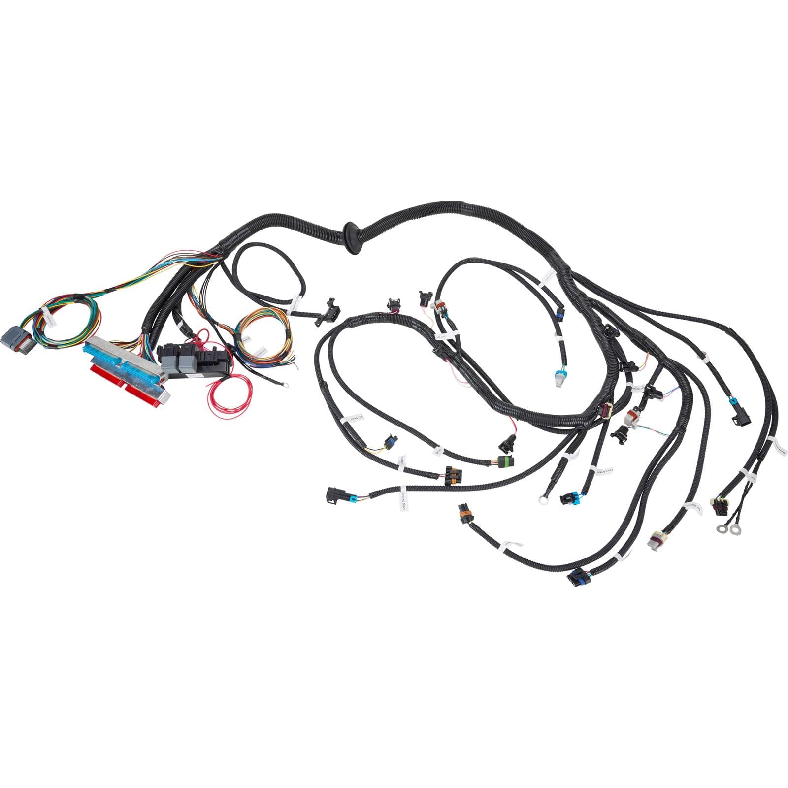 Speedway Motors LS1/T56 Drive By Wire Harness