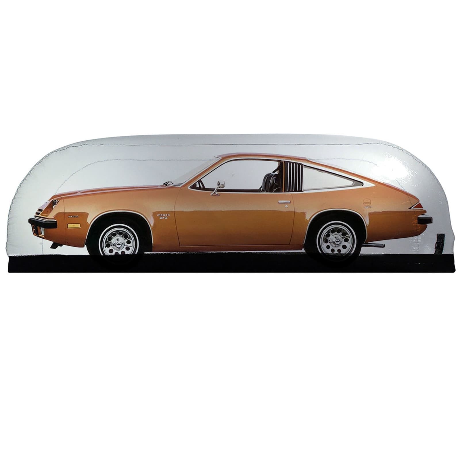 CarCapsule CC16F Indoor Vehicle Enclosure 16 Ft.