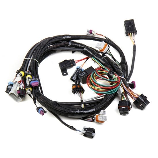 Holley 558-102 LS1 Main Harness for HP EFI & Dominator EFI