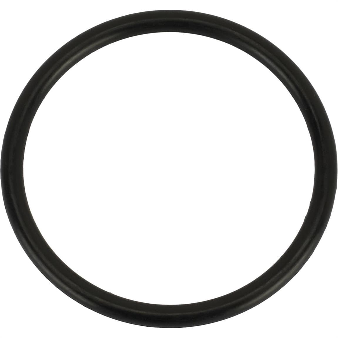 Replacement O-Ring for Speedway Water Neck