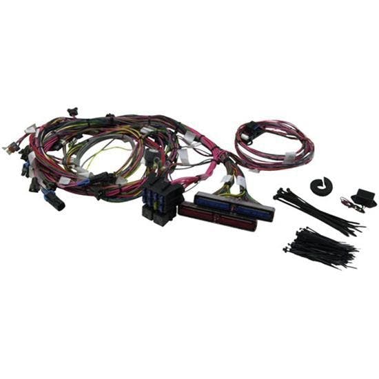 Painless Wiring 60508 1999-2002 GM LS1 Engine Harness