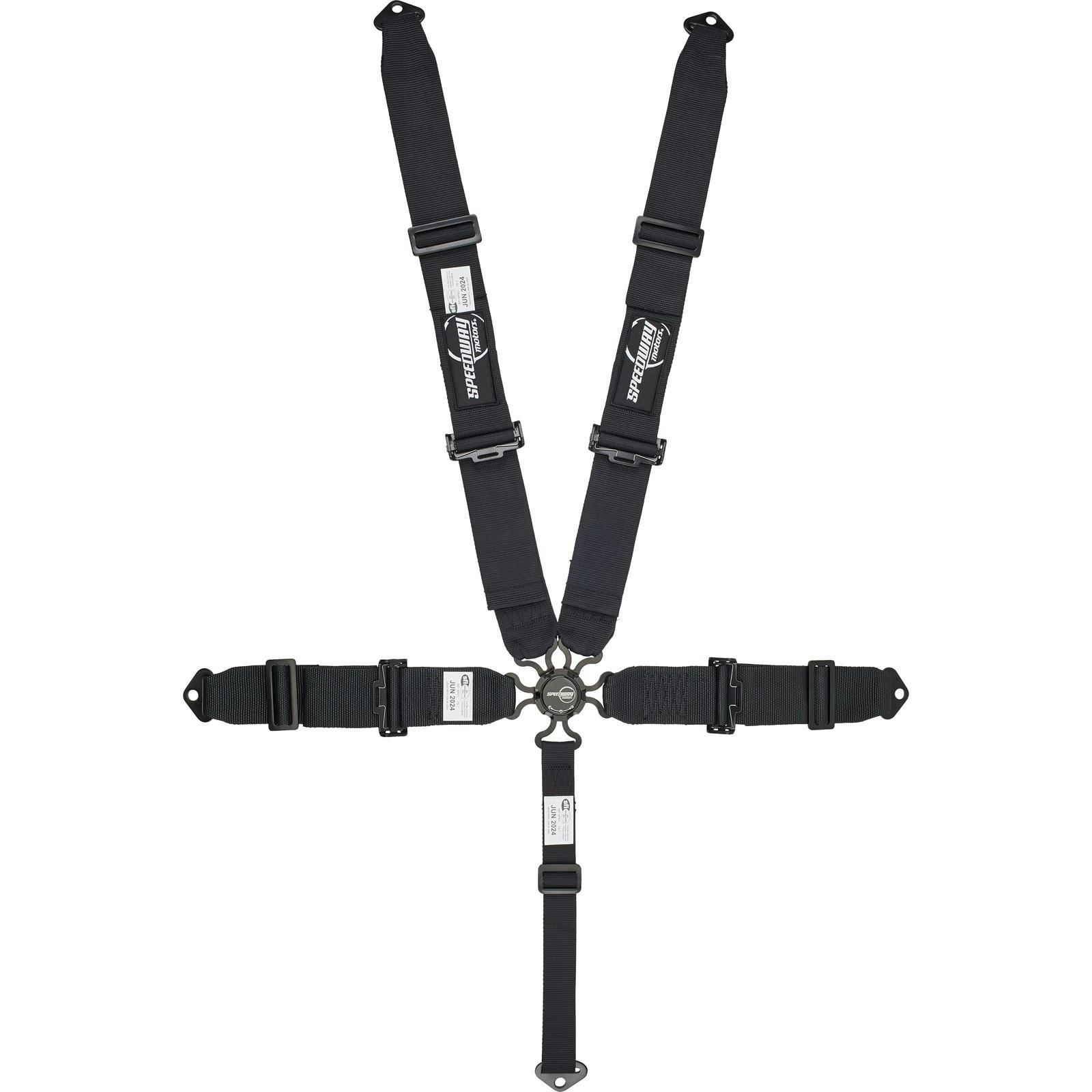 Speedway 5 Point Seat Belt Harness, Cam Lock, Pull Down, Black