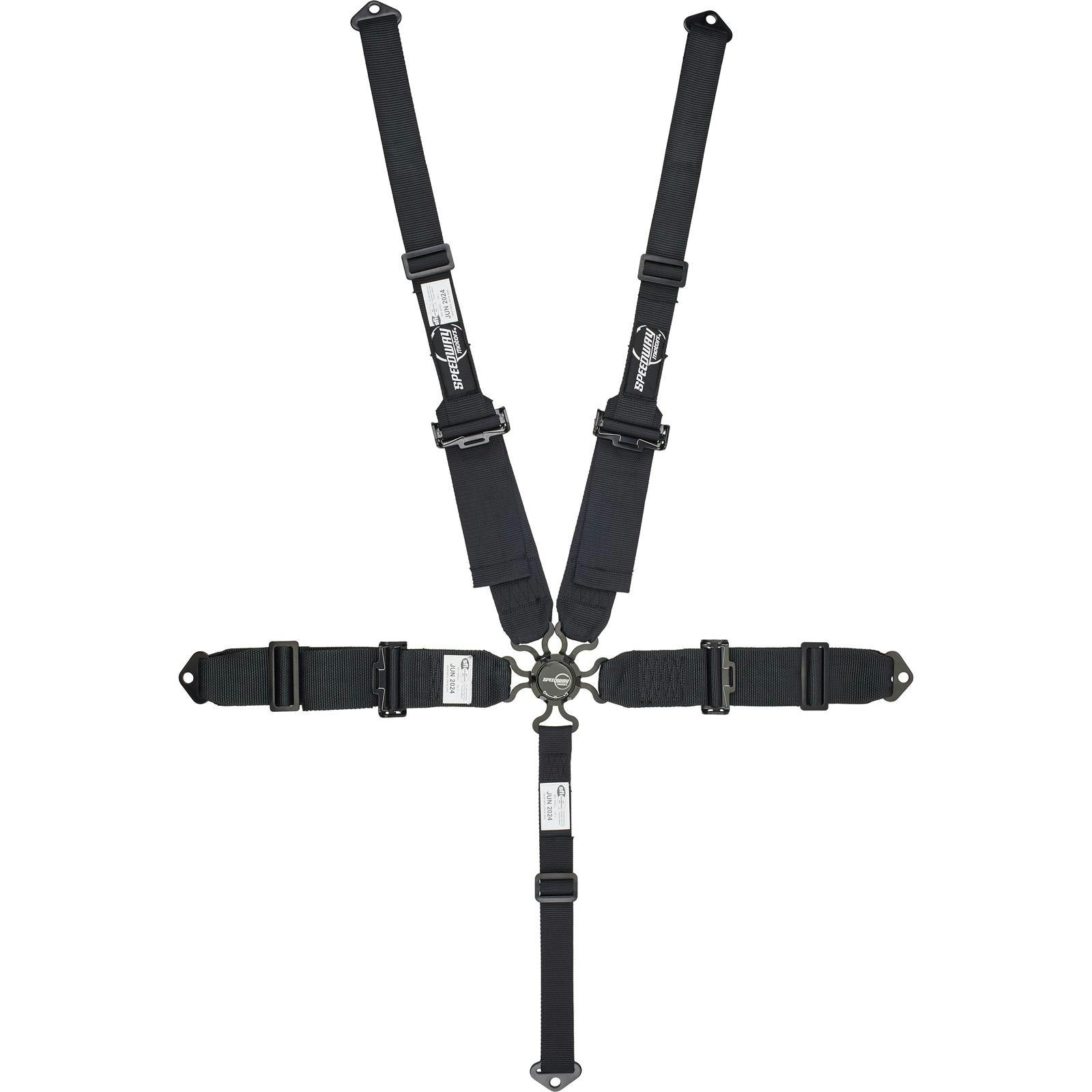 Speedway 5 Point Harness, Cam Lock, Pull Down, Hans, Black