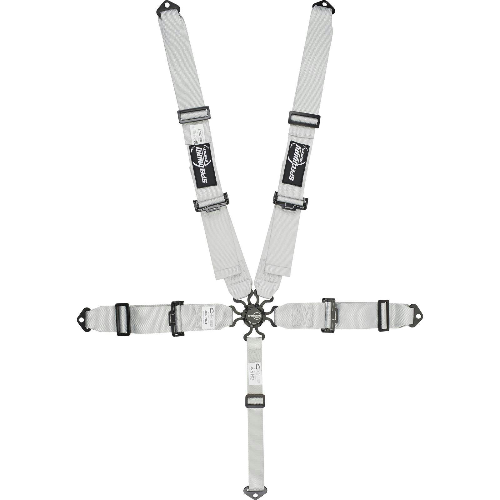Speedway Elite, 5 Point Seat Belt Harness, Cam Lock, Silver