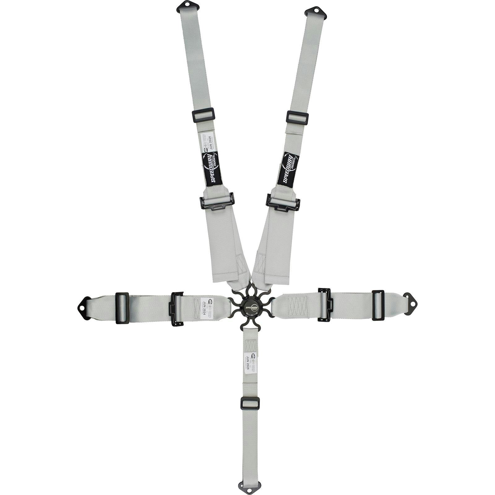 Speedway Elite, 5 Point Harness, Cam Lock, Hans, Silver