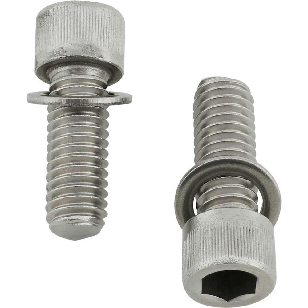 1955-65 Chevy Water Neck Chevy Bolt Kit, Stainless Steel