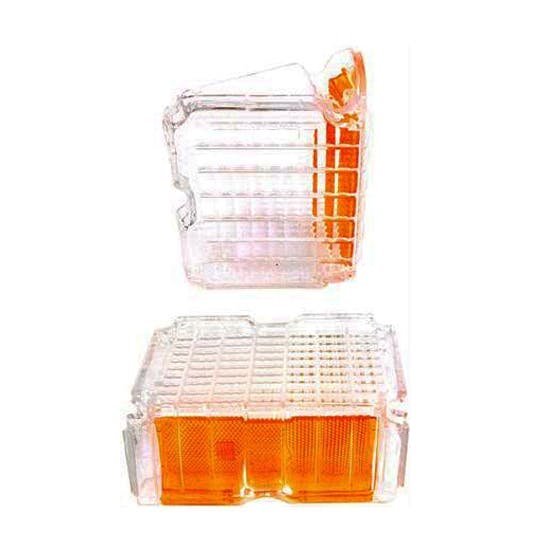 Dynacorn L72AN2 Park Lamp Lens, 1972 Chevelle, Pair