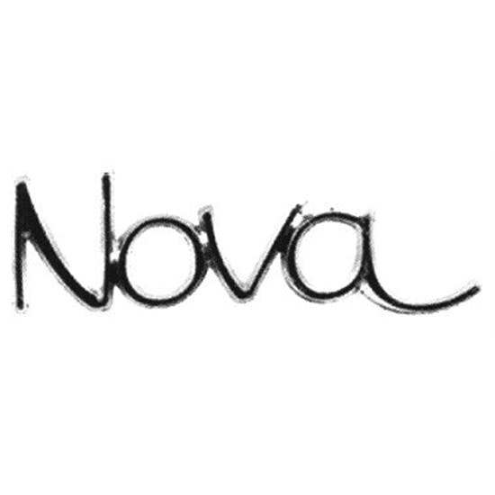 OER 3953676 Front Fender/Rear Quarter Panel Emblem for Nova