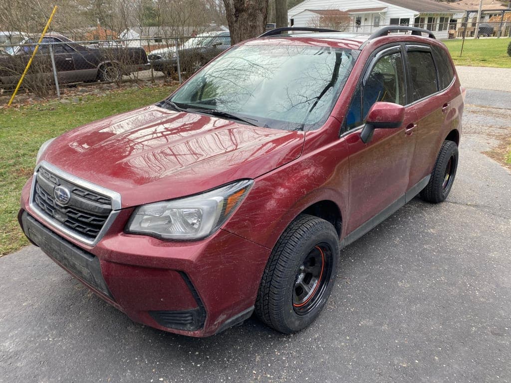 Customer review image