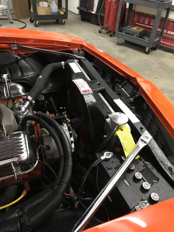 Customer review image