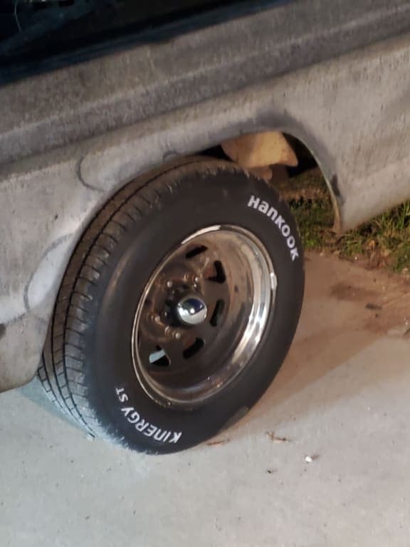 Customer review image