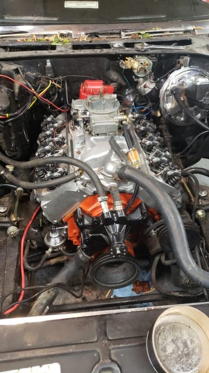 Customer review image