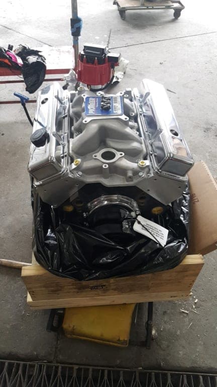 Customer review image