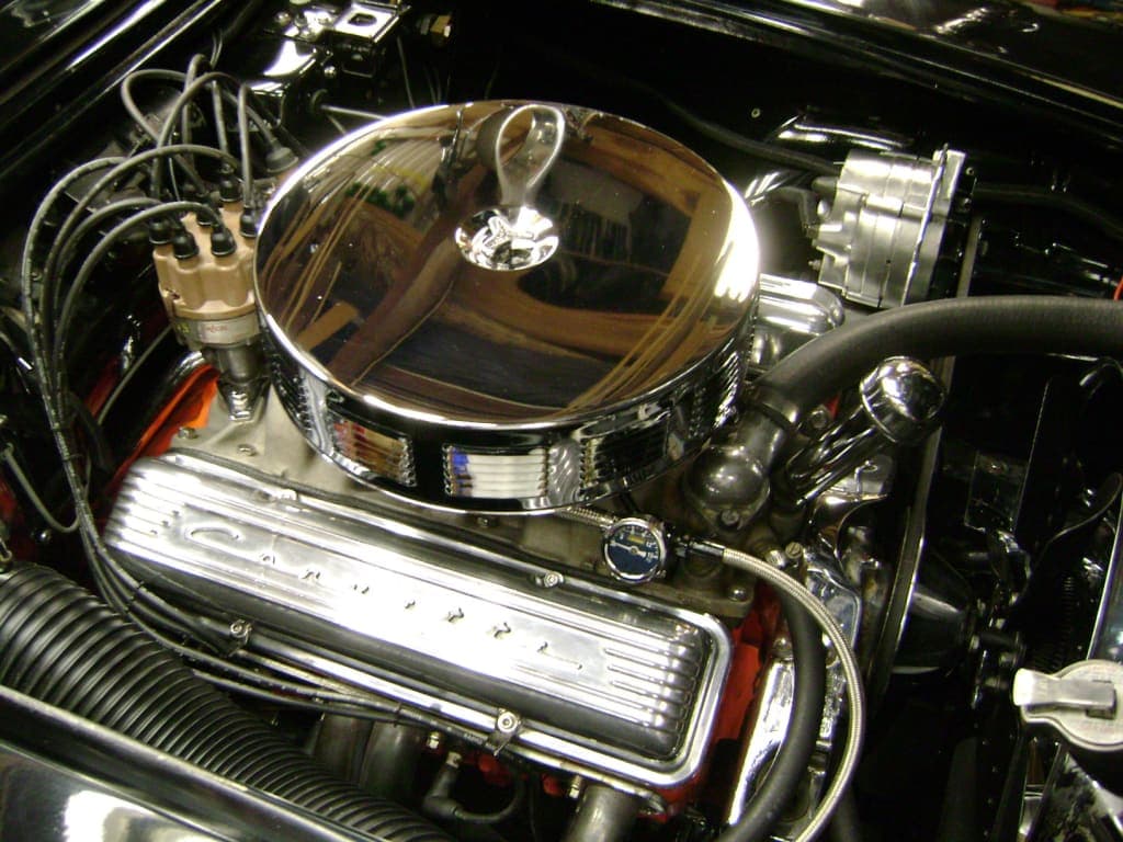 Customer review image