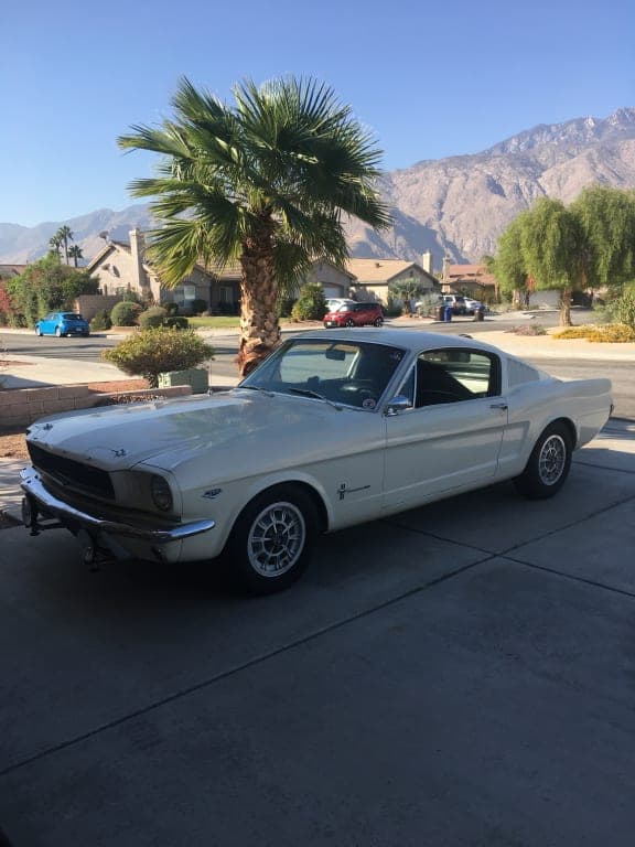 Customer review image