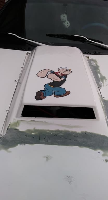 Customer review image