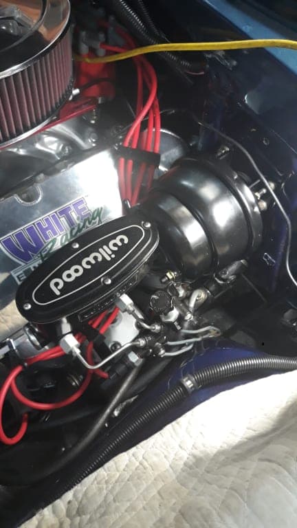 Customer review image