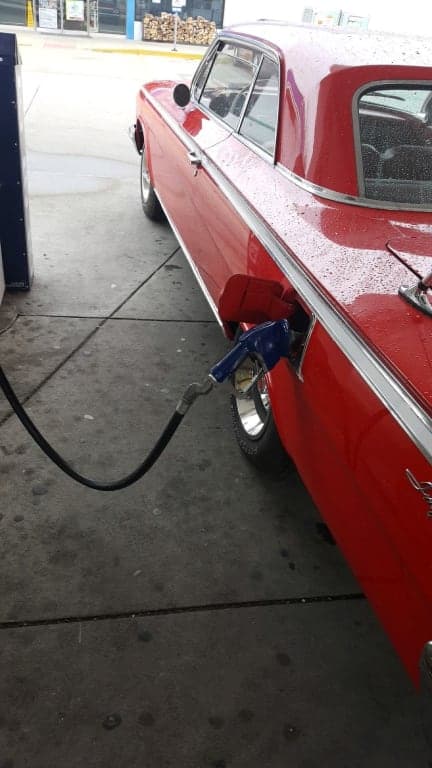 Customer review image