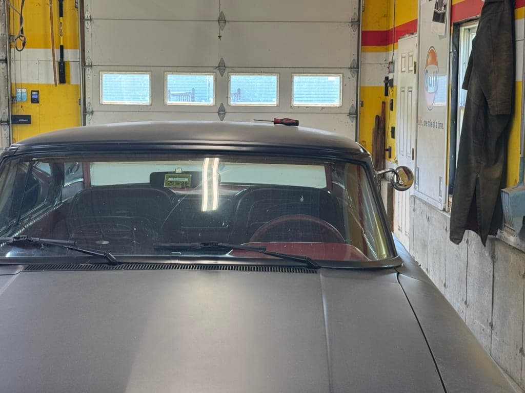 Customer review image