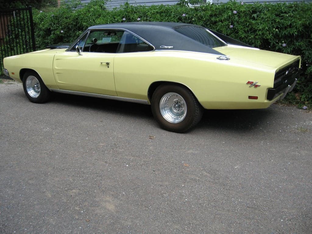 Customer review image