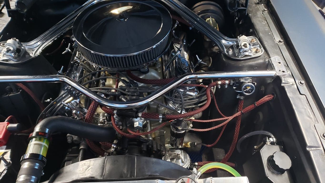 Customer review image