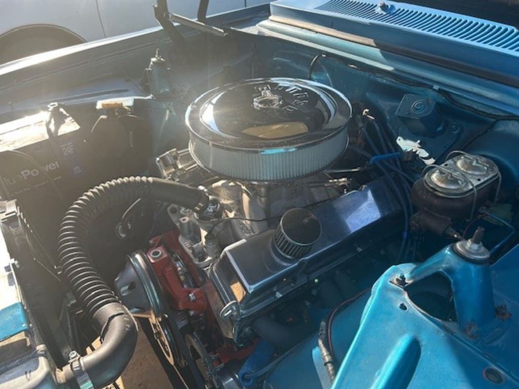 Customer review image