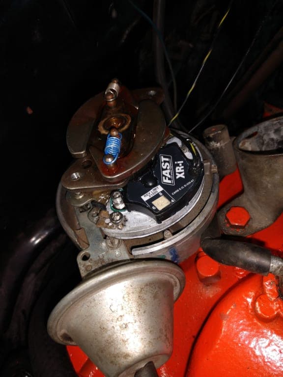 Customer review image