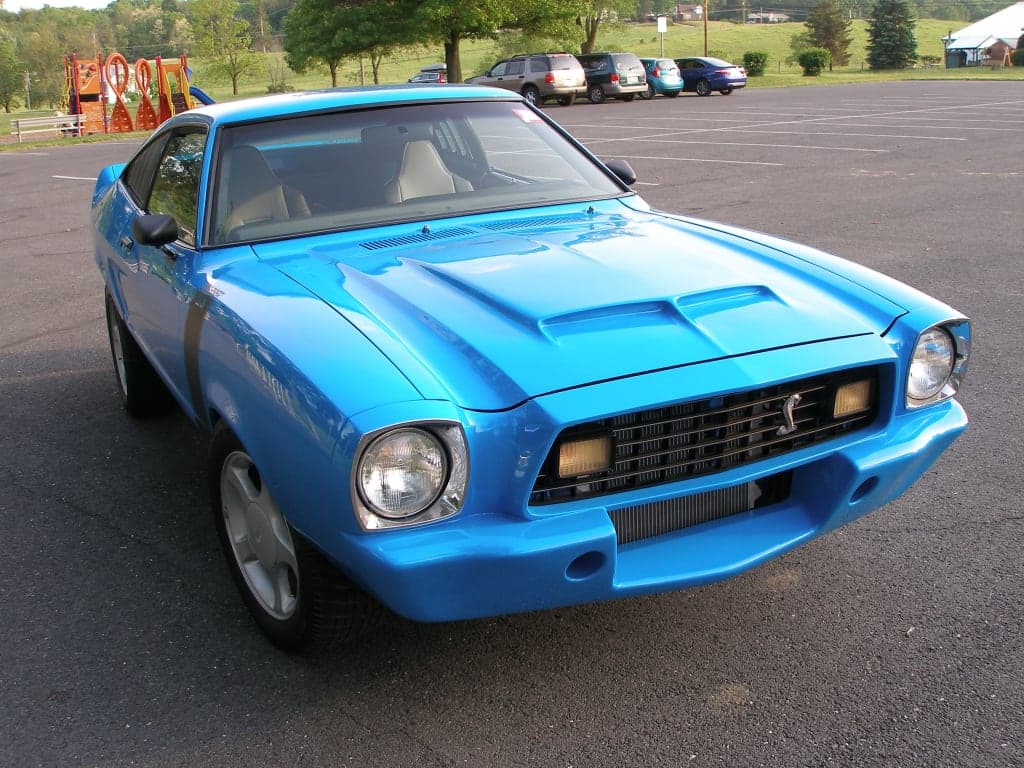 Customer review image