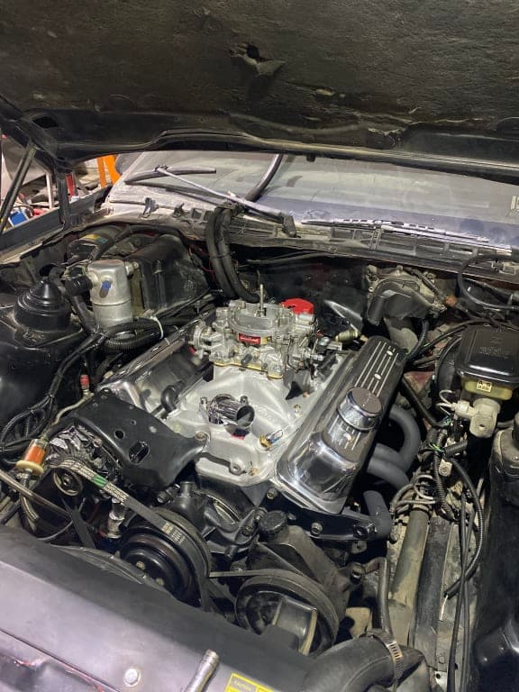 Customer review image