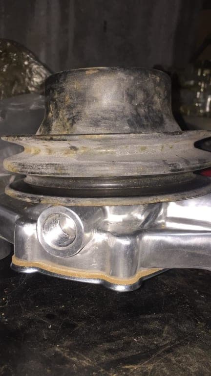 Customer review image