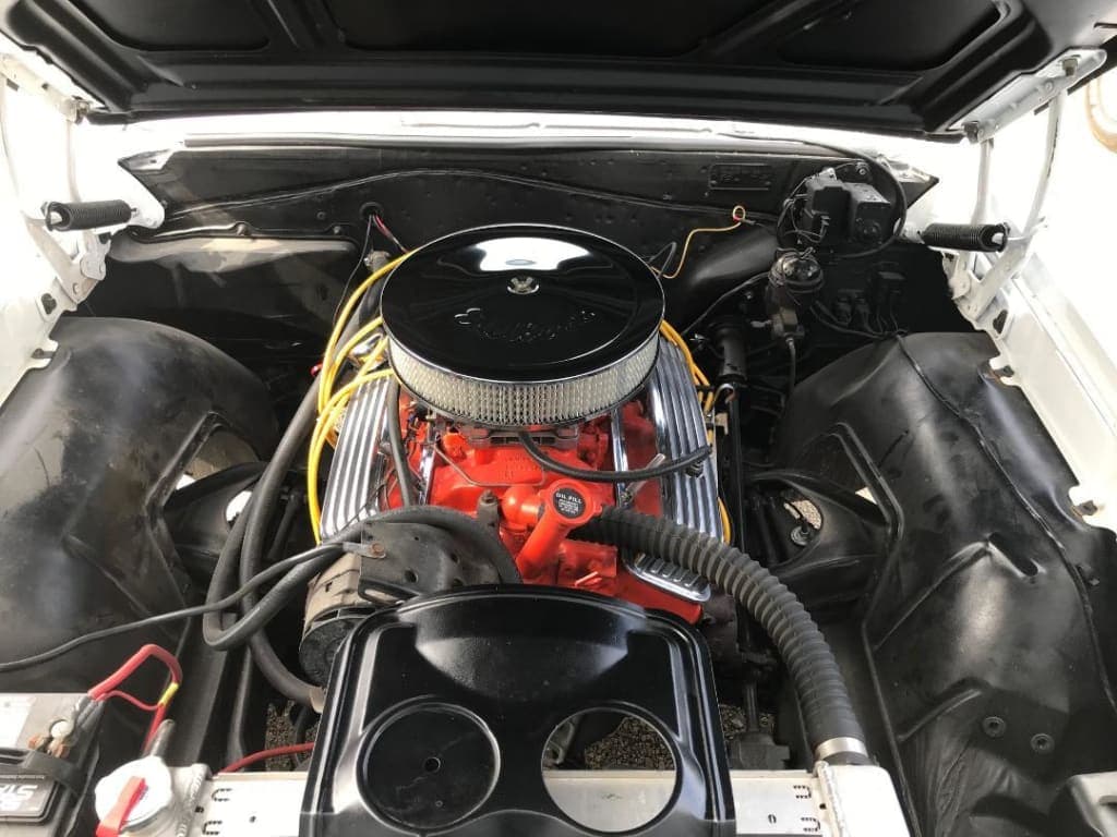 Customer review image